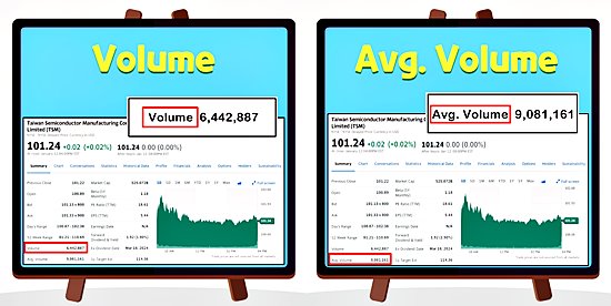 미국 주식 용어 정리 - Volume / Avg. Volume