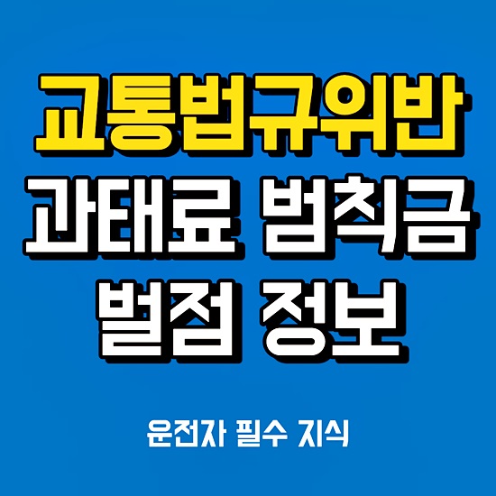 교통법규위반 과태료 썸네일