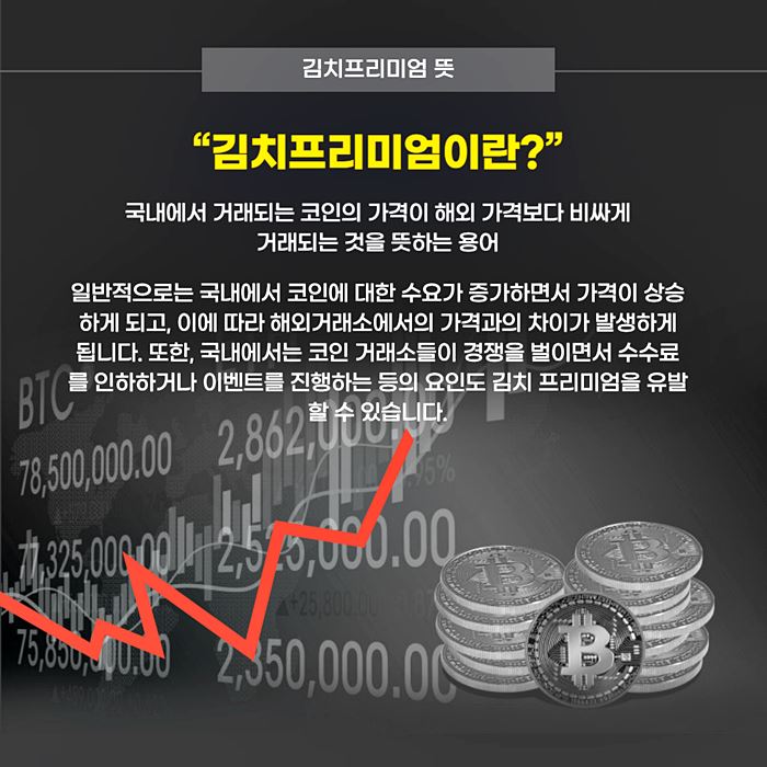 김치프리미엄 뜻에 대한 이미지