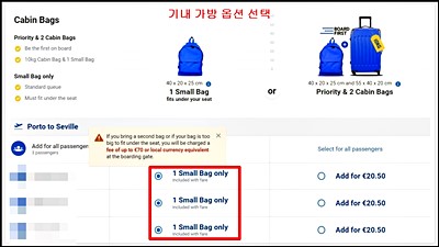 기내 수하물 옵션 선택 이미지