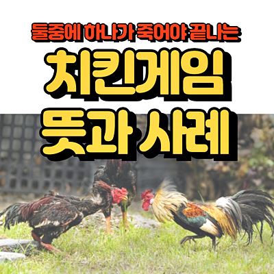 치킨게임 뜻과 사례